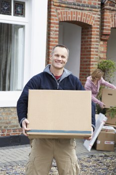 Foresthill storage organization concept for home and business
